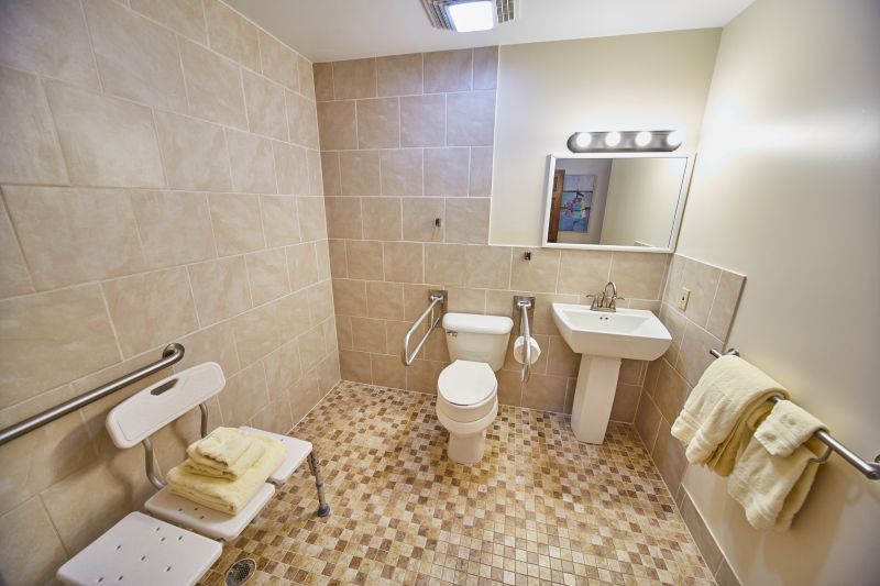 Best Bathroom Accessibility Contractors in Waterloo, IL